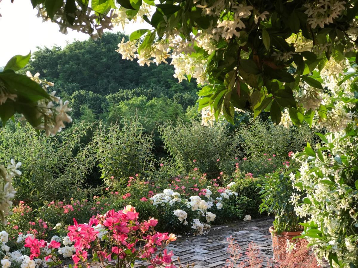 Villa Bricco Dei Cogni La Morra Exteriér fotografie